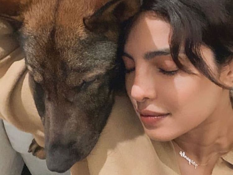 Priyanka Chopra Jonas