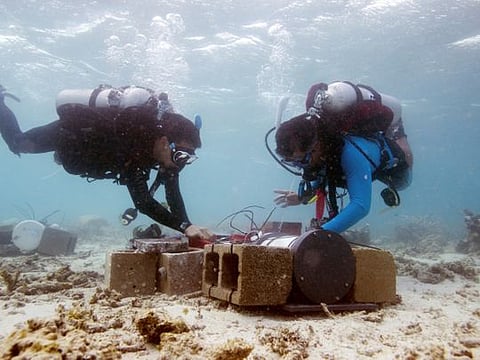 Look: Under the sea with scientists fighting climate change