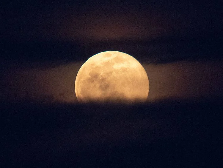 The Pink Moon