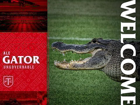 Toronto FC joked that they had signed the alligator 