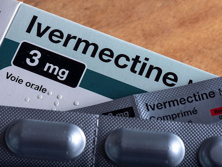 ivermectin 
