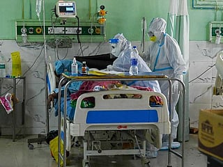 Once-rare fungal diseases killing millions in unprepared world