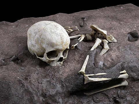 A virtual ideal reconstruction of the burial position of Mtoto, a 3-year-old boy buried 78,000 years ago. 