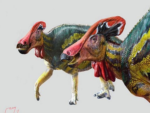 An artistic rendition of Tlatolophus galorum. Its tail was discovered first, in the General Cepeda area of the northern state of Coahuila in 2013.