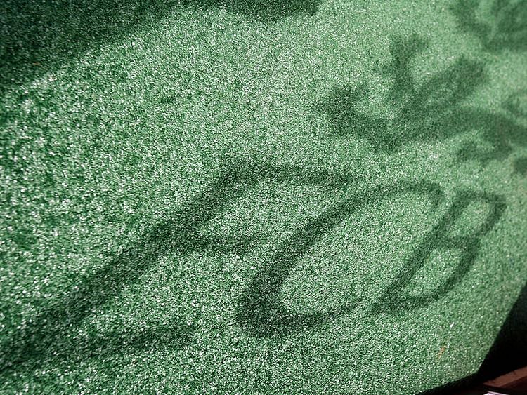 ECB logo. England face New Zealand and India over the summer