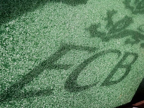 ECB logo. England face New Zealand and India over the summer