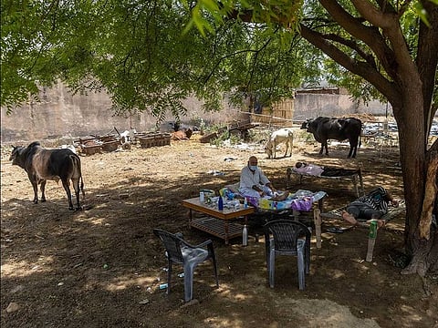 Harveer Singh, 65, a villager suffering from COVID-19 sits in a cot as he receives treatment at a makeshift open-air clinic, amidst the spread of the coronavirus disease (COVID-19), in Mewla Gopalgarh village, in Jewar district, in the northern state of Uttar Pradesh, India, May 16, 2021.