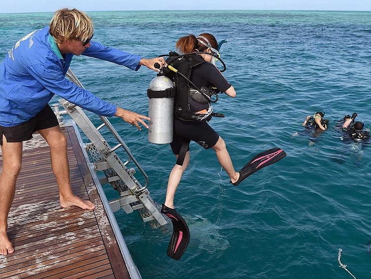 Queensland australia scuba