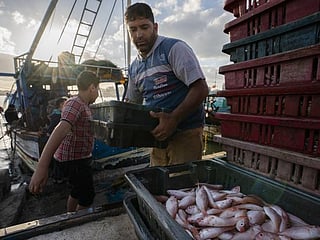 Photos: Gaza fishermen take to water again after cease-fire 