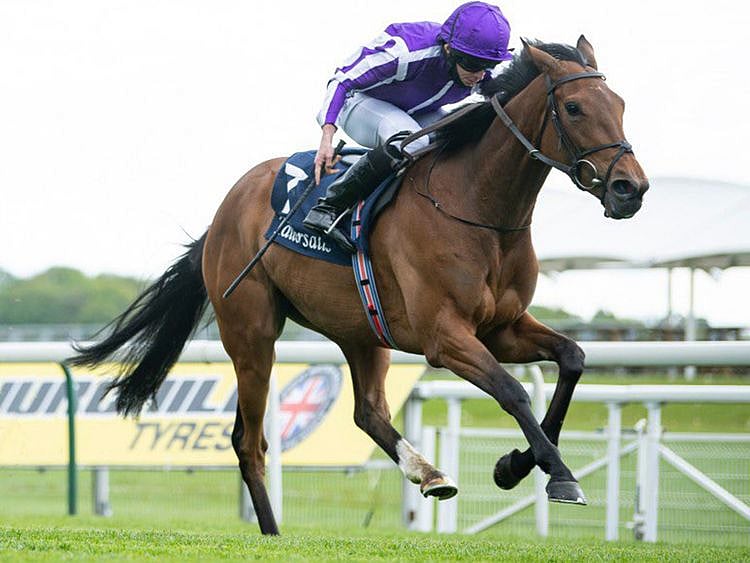 Horseracing - Snowfall