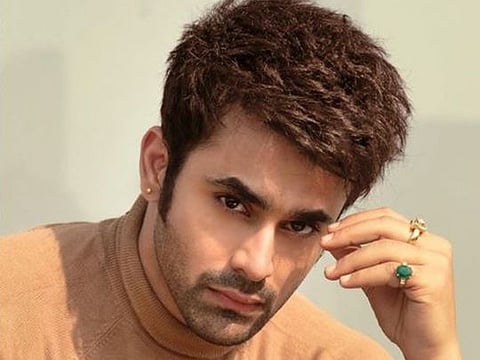 Indian TV star Pearl V Puri