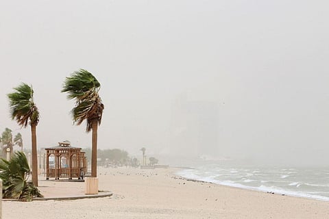 Trees sway in the wind during a dust storm in Kuwait City, on June 13, 2021. 