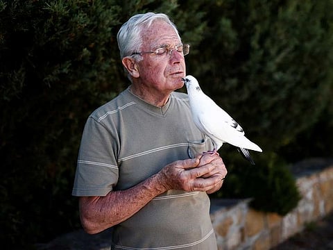 Xavier Bouget, 80-year-old Frenchman, who built a strong relation with a wild pigeon called "Blanchon", poses at his garden in the village of Gommenec'h, in Brittany, France, June 14, 2021. 