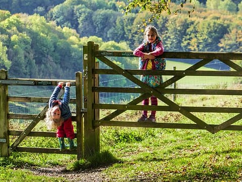 Memories: My sister and I would race to a spot beneath the lush trees in the garden (Image for illustrative purposes)