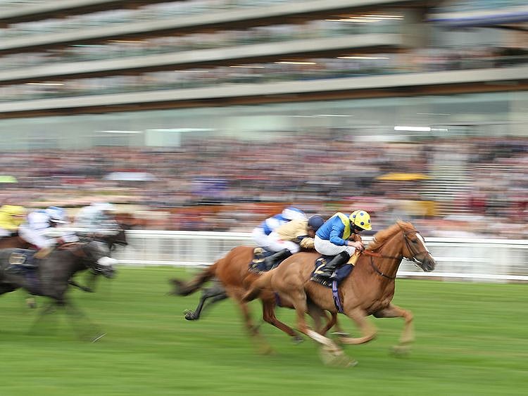Dream Of Dreams wins the Diamond Jubilee Stakes Action 