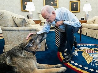 Photos: US Presidential pets through the years