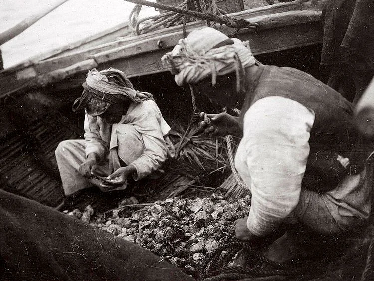 Pearl diving