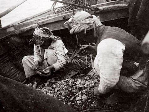 Pearl diving