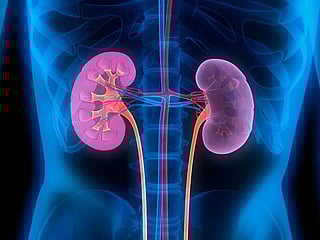 From the editors: Successful, critical kidney surgery in Dubai a confirmation of UAE’s pioneering role in health care