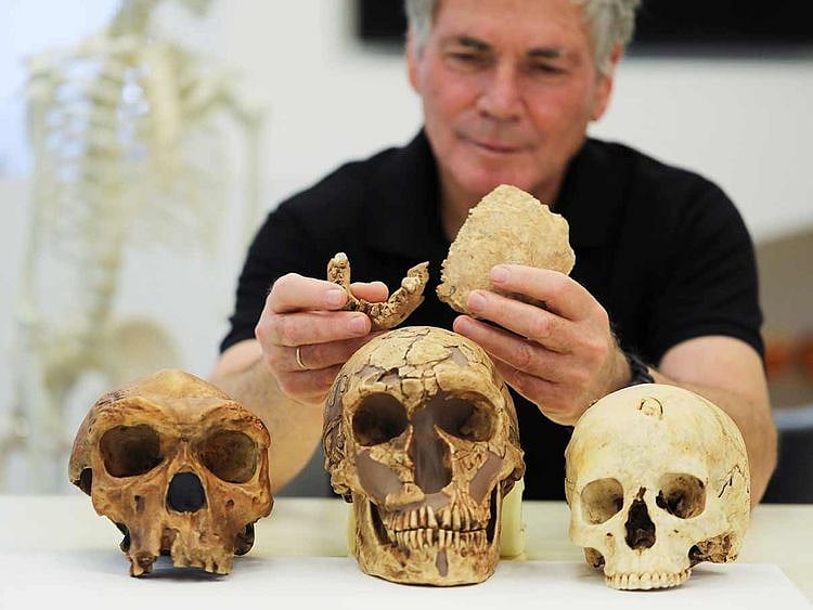 pieces of fossilised bone of a previously unknown kind of early human discovered at the Nesher Ramla site in central Israel. 