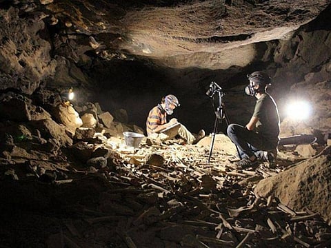 The new discoveries include animal fossils and human skulls that were unearthed by a team of archaeologists and palaeontologists from Saudi Arabia's Heritage Commission.