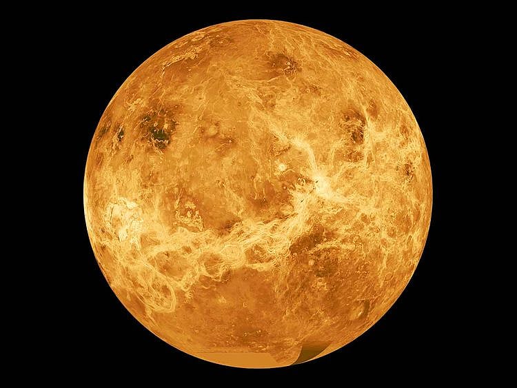 Venus 