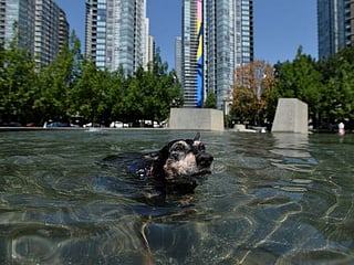 Canada records all-time high temperature of 49.5C