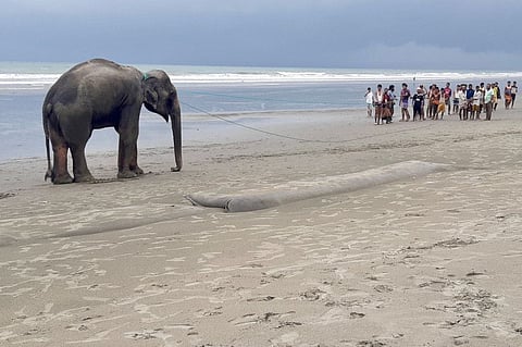 Villagers gather at a beach to lead a wild Asian elephant, believed to have entered Bangladesh from Myanmar by wading a river, near Bangladesh's southern coastal town of Teknaf. 