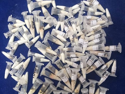 The parcel was addressed to a Arupukotai (Tamil Nadu) based person.