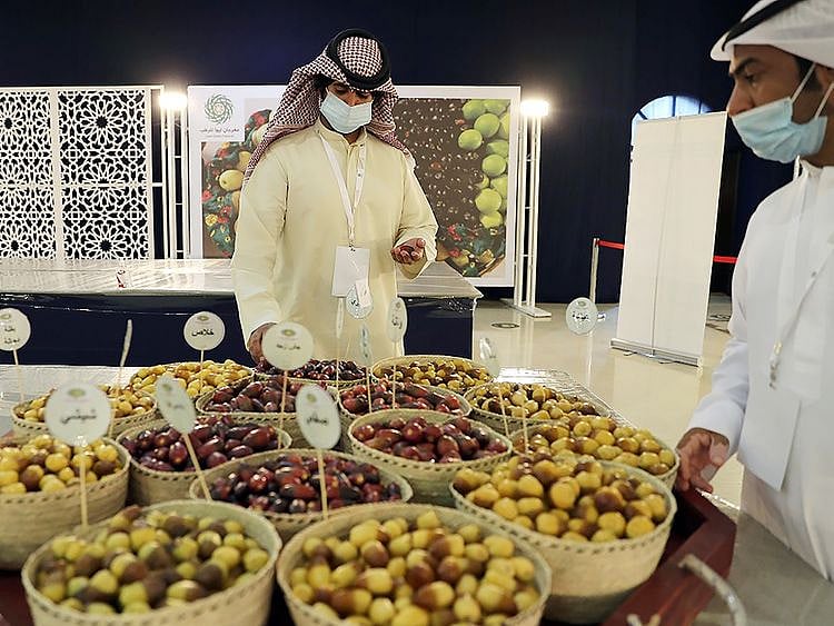 Liwa Date Festival