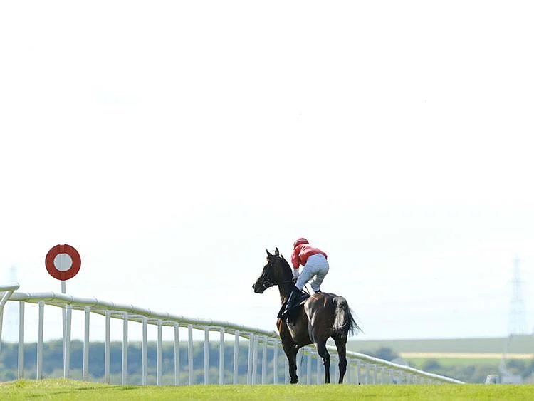 Newmarket is set for the July Festival