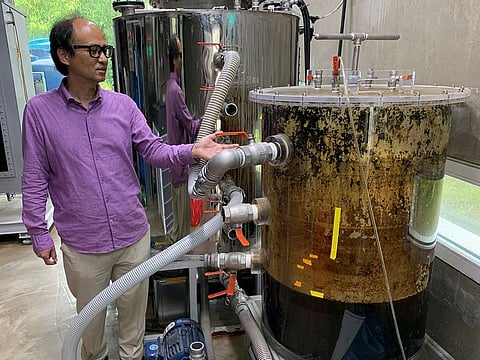 Cho Jae-weon, a South Korean professor at Ulsan National Institute of Science and Technology (UNIST), stands next to a faeces tank at a laboratory in Ulsan. 