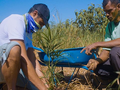 Tropicool's initiative to replant 1,500 seedlings and fruit trees was undertaken in partnership with SOS Amazonia, which aims to mitigate climate change through the reforestation of deforested areas in the region