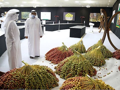 The annual date festival in Abu Dhabi emirate begins on July 19 in Liwa. File photo for illustrative purpose only