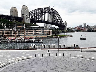 A show featuring dozens of drones in Sydney was called off after the gadgets malfunctioned and fell into the water.