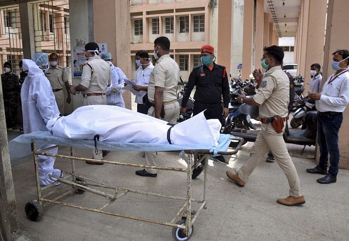 india fungus-1626944969696