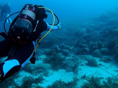 Look: Greece's first underwater museum opens ancient world to dive tourists