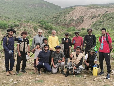 Official teams and a group of volunteers monitored the baobab trees in Dhofar region.