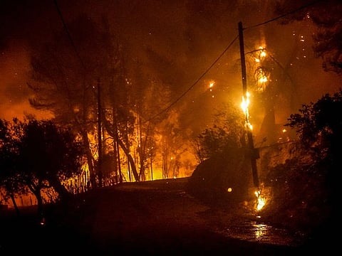 Flames engulf the forest near ancient Olympia in western Greece on August 4, 2021. 