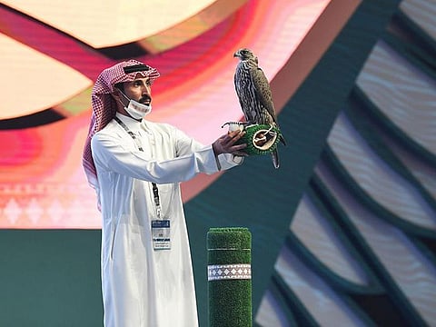  The first International Falcon Breeders Auction runs for one month north of the Saudi capital Riyadh. 