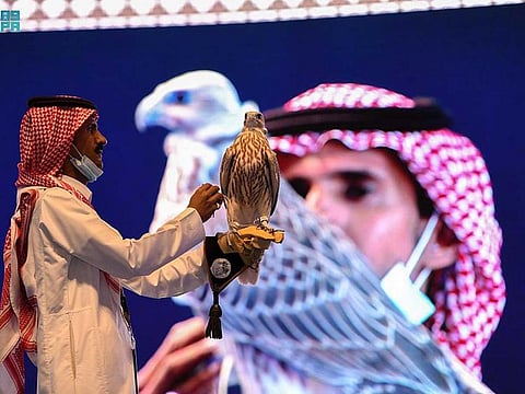 A rare falcon displayed at an auction north of Riyadh. The new event will take place at the Saudi Falcon Club’s headquarters in Malham, just north of Riyadh, starting today (August 5) until 24.