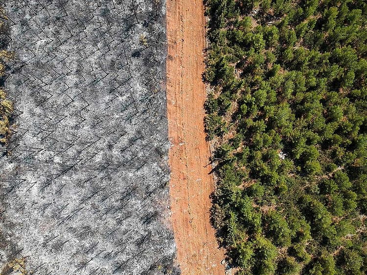 Turkey wildfires 