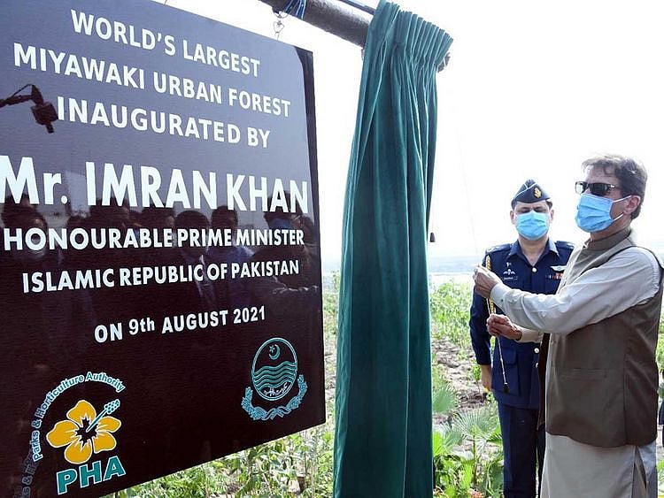 Imran khan miyawaki forest lahore