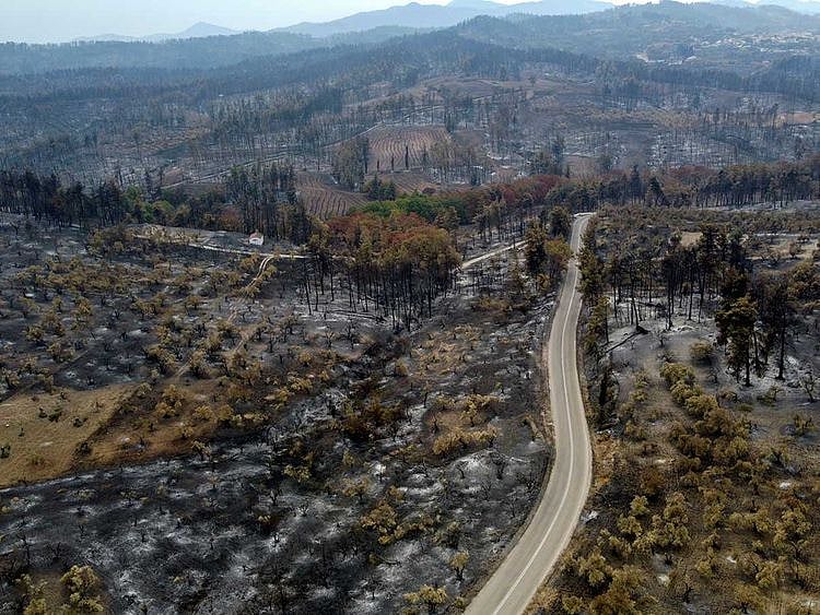 GREECE wildfire