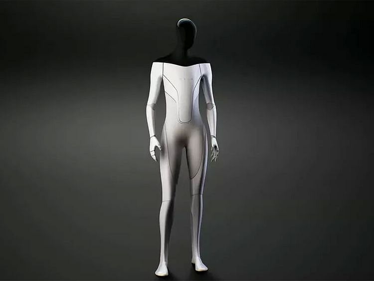 TESLA BOT