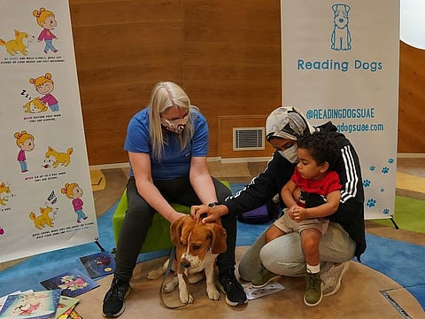 Human-animal therapy has been proven to decrease stress and depression