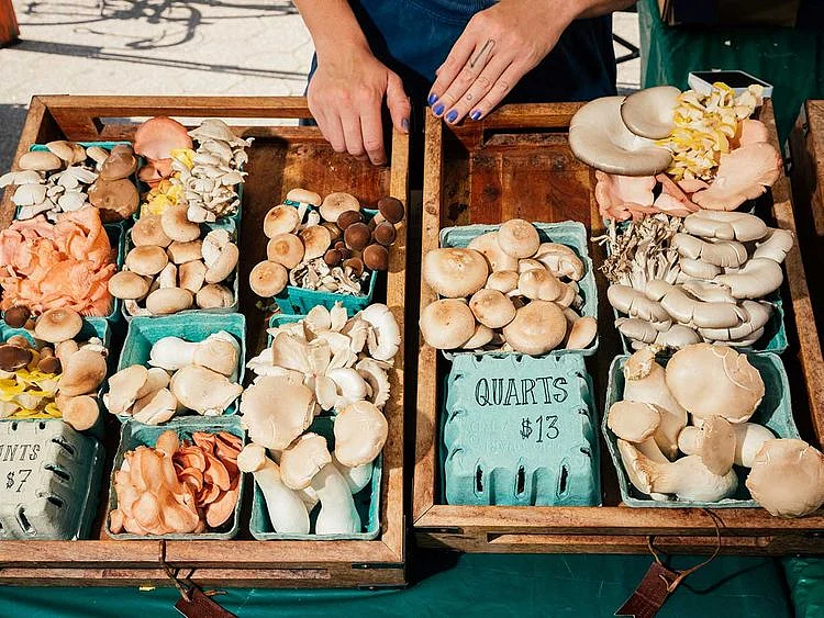 Mushrooms
