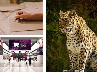 11 Fun things to do with the family this week