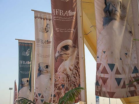 The auction held in the Saudi Falcon Club in Malham north of Riyadh will be followed by more events of interest to falconers in the world and around the world.