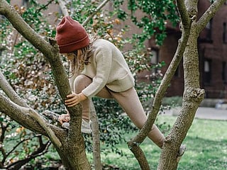 Today's Word Search: Children need a daily dose of trees for brain development